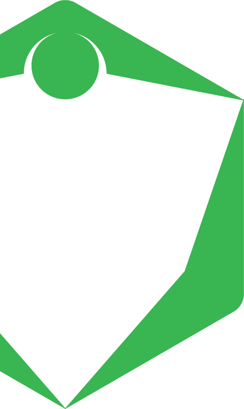 Alt Image